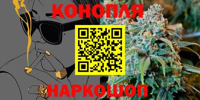 прущие крисы Будённовск