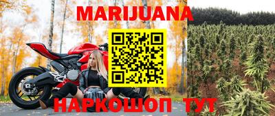 прущие крисы Будённовск