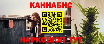 прущие крисы Будённовск