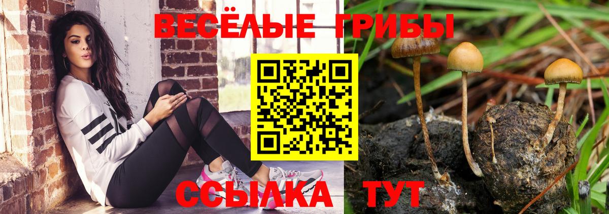 Псилоцибиновые грибы прущие грибы Мелеуз