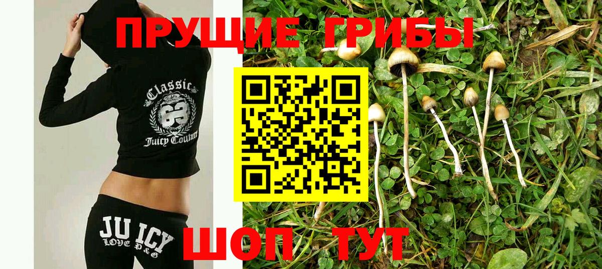 Мелеуз  Галлюциногенные грибы мицелий  Вход с VPN 